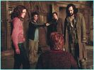 _39367973_sirius.jpg